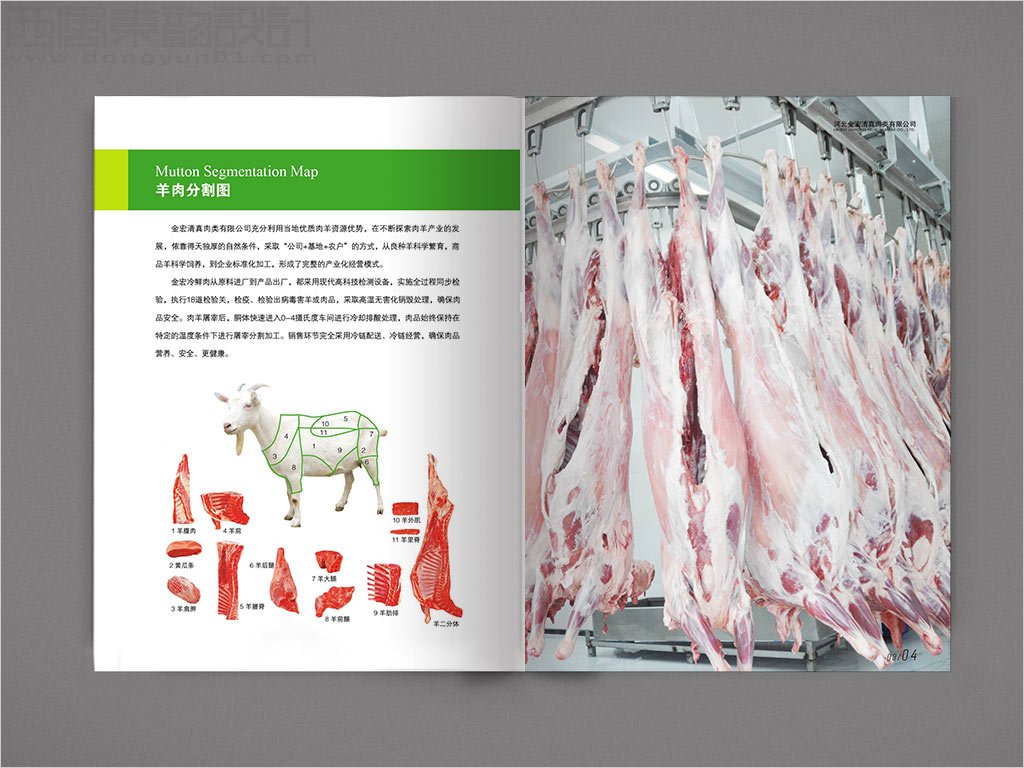 河北金宏清真肉類有限公司畫冊設(shè)計之羊肉分隔圖內(nèi)頁設(shè)計