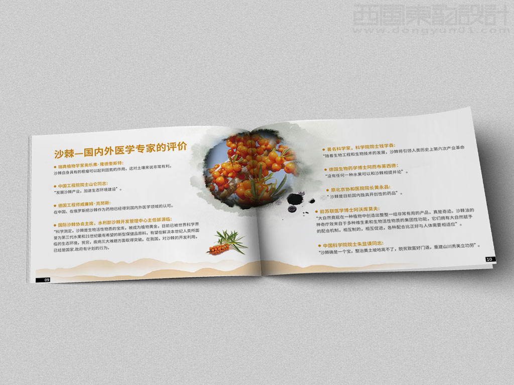 寧波市雷瑞商貿(mào)公司棘行天下產(chǎn)品手冊設計之國內(nèi)外醫(yī)學專家的評價內(nèi)頁設計