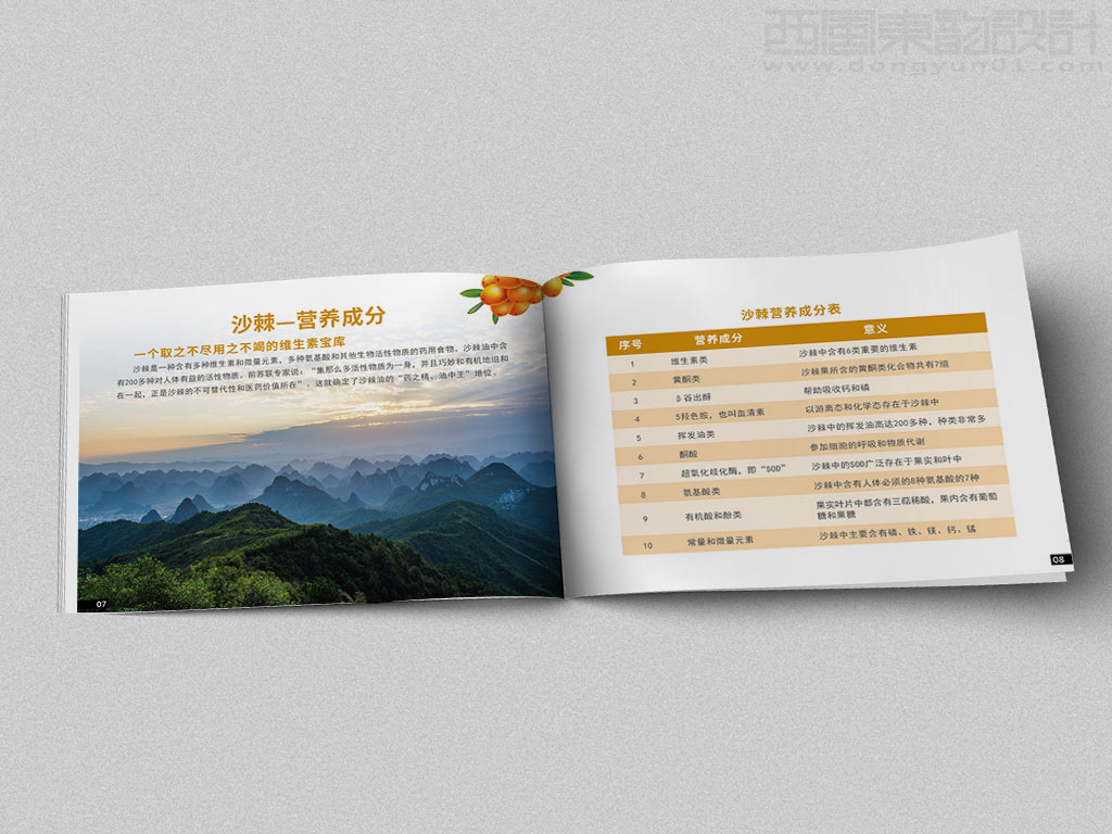 寧波市雷瑞商貿(mào)公司棘行天下產(chǎn)品手冊設計之沙棘的營養(yǎng)成分內(nèi)頁設計