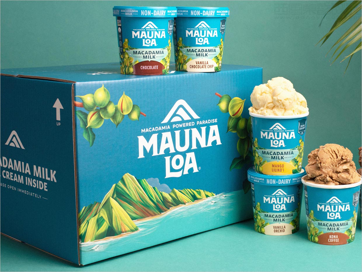 美國Mauna Loa夏威夷堅(jiān)果零食外箱包裝設(shè)計