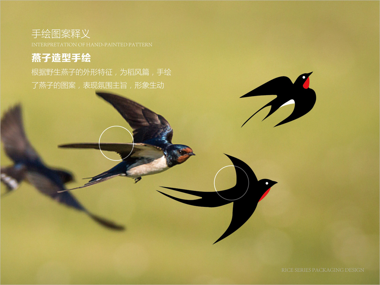 綠牧嶺大米農(nóng)產(chǎn)品包裝設(shè)計之燕子手繪插圖 綠牧嶺大米農(nóng)產(chǎn)品包裝設(shè)計之燕子手繪插圖
