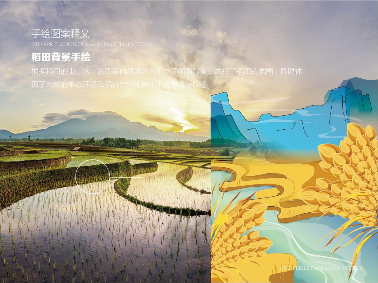 綠牧嶺大米農(nóng)產(chǎn)品包裝設(shè)計之稻田手繪插圖 綠牧嶺大米農(nóng)產(chǎn)品包裝設(shè)計之稻田手繪插圖