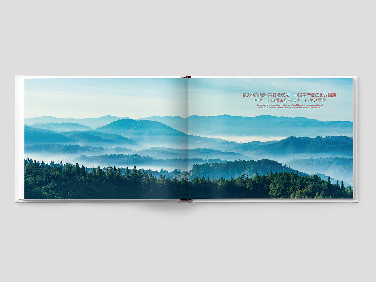 理想華萊科技集團(tuán)公司畫冊設(shè)計之扉頁設(shè)計 理想華萊科技集團(tuán)公司畫冊設(shè)計之扉頁設(shè)計