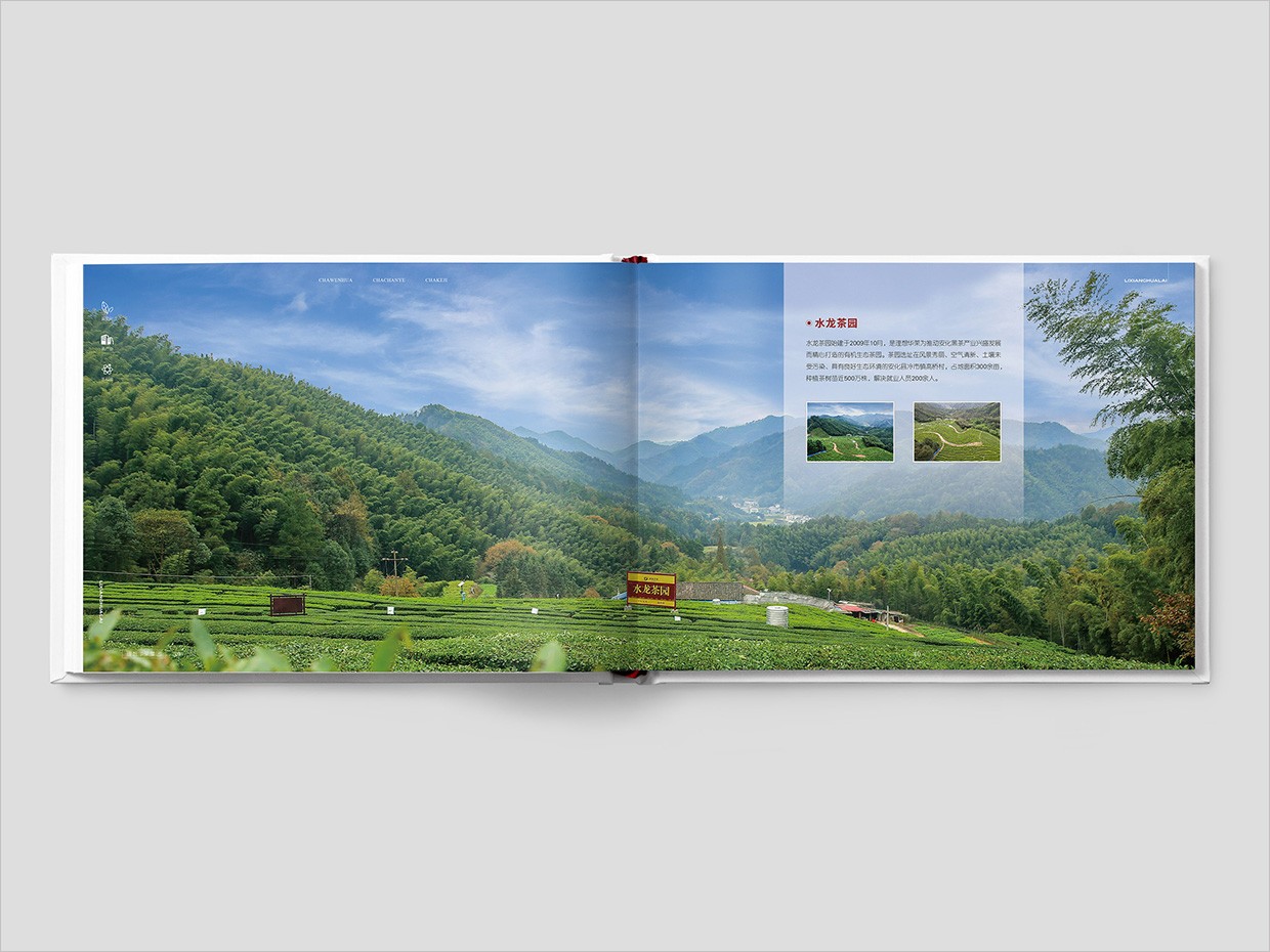 理想華萊科技集團(tuán)公司畫冊設(shè)計之水龍茶園頁面設(shè)計 理想華萊科技集團(tuán)公司畫冊設(shè)計之水龍茶園頁面設(shè)計